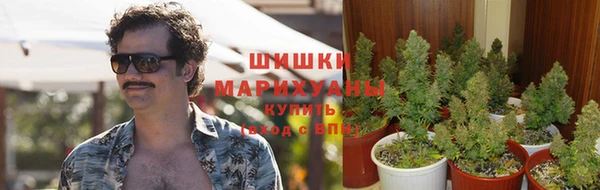 мяу мяу мука Кинешма